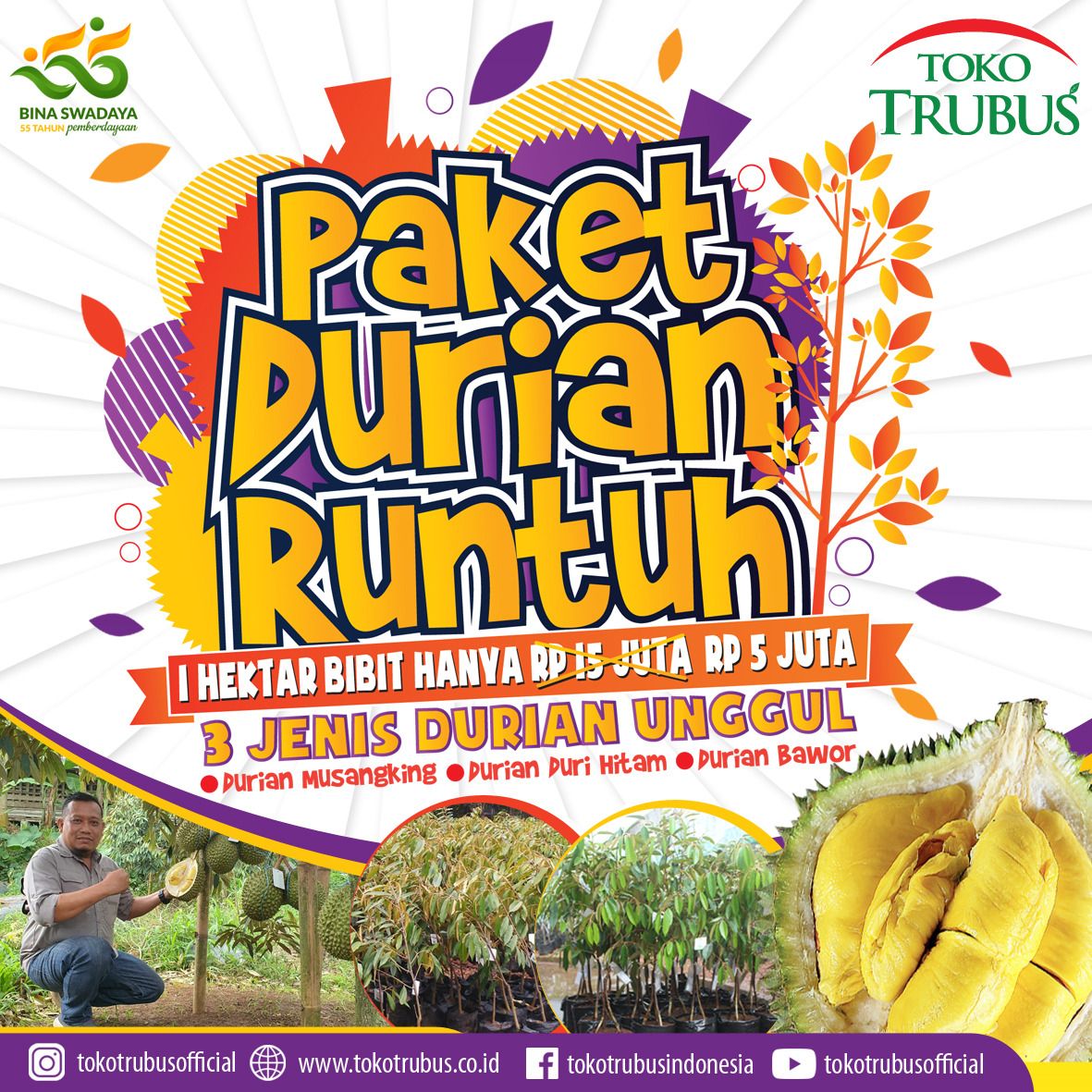 PAKET DURIAN RUNTUH 100 POHON